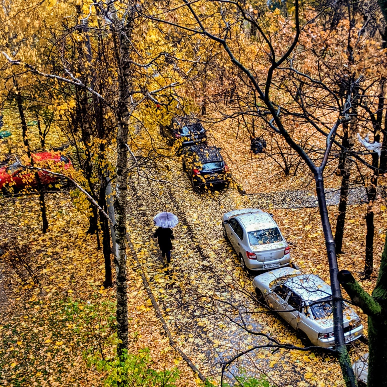 Golden Fall Outside my Moscow Residence